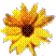 Beschrijving: sunflower